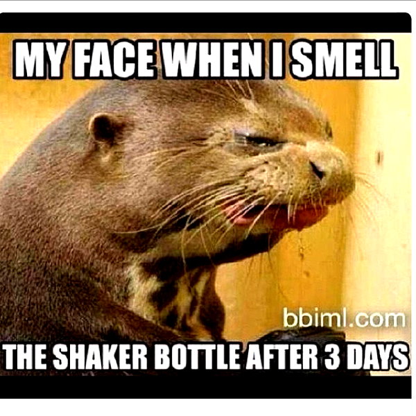 grin.andblairit instagram image archive image