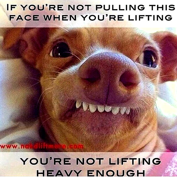 grin.andblairit instagram image archive image