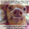 grin.andblairit Altpins Profile Picture