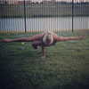 grin.andblairit Altpins Profile Picture