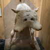 gutknot Altpins Profile Picture
