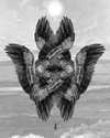 gutknot Altpins Profile Picture