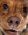 gutknot Altpins Profile Picture