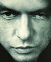 gutknot Altpins Profile Picture