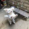 gutknot Altpins Profile Picture