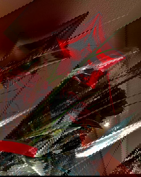 gwendolynceline image ~ Altpins