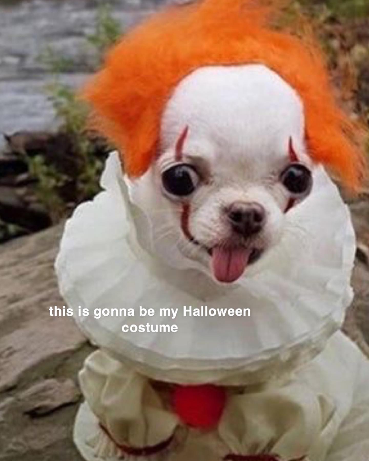 gwendolynceline instagram image archive image