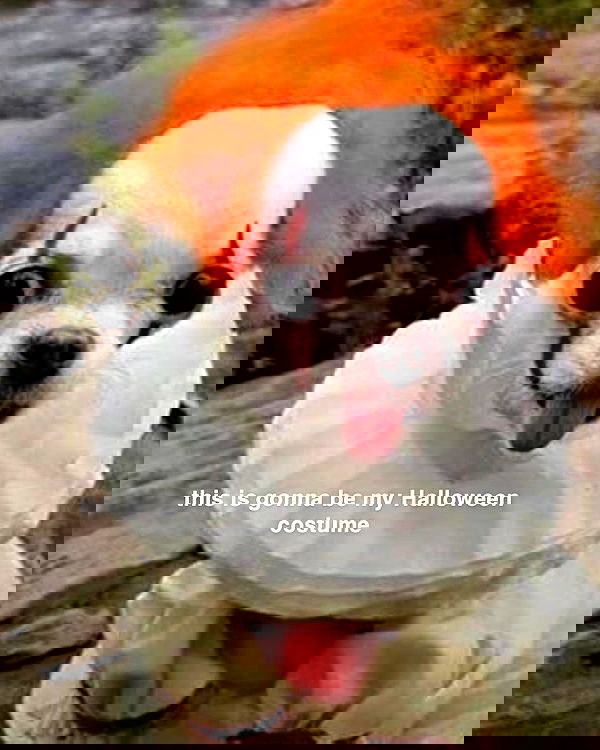 gwendolynceline image ~ Altpins