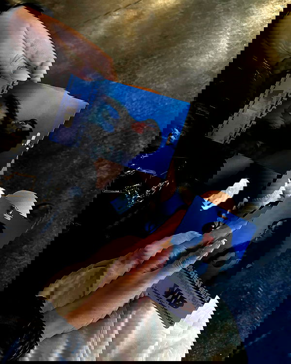 gwendolynceline image ~ Altpins