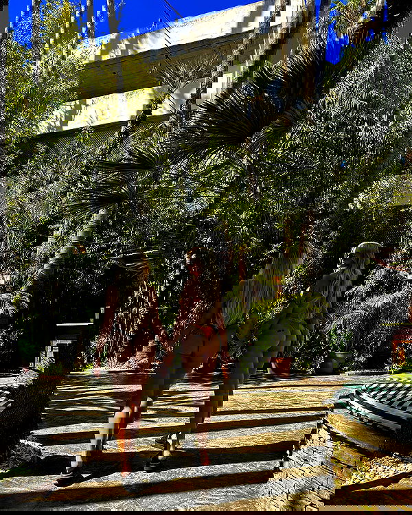 gwendolynceline image ~ Altpins