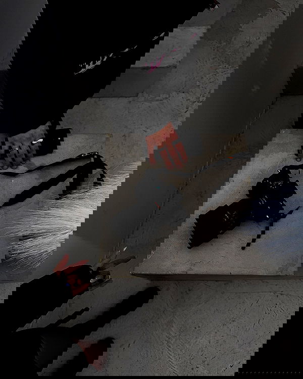 gwendolynceline image ~ Altpins