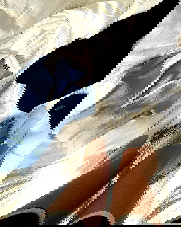 gwendolynceline image ~ Altpins