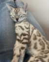 h0llyannabel Altpins Profile Picture