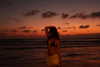 hadas_mayer_ Altpins Profile Picture