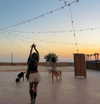 hadas_mayer_ Altpins Profile Picture