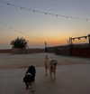 hadas_mayer_ Altpins Profile Picture