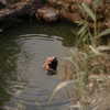 hadas_mayer_ Altpins Profile Picture