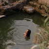 hadas_mayer_ Altpins Profile Picture