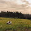 hadas_mayer_ Altpins Profile Picture