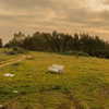 hadas_mayer_ Altpins Profile Picture
