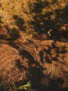 hadas_mayer_ Altpins Profile Picture