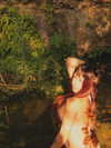 hadas_mayer_ Altpins Profile Picture