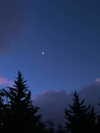 hadas_mayer_ Altpins Profile Picture