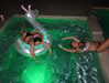haileyy.ramirez Altpins Profile Picture