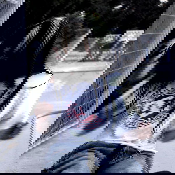 hanabellask8 hanabellask8 archive image