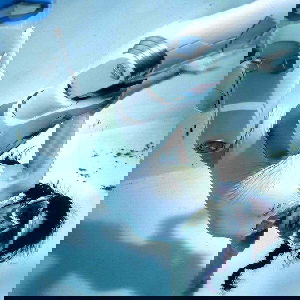 hanabellask8 hanabellask8 archive image