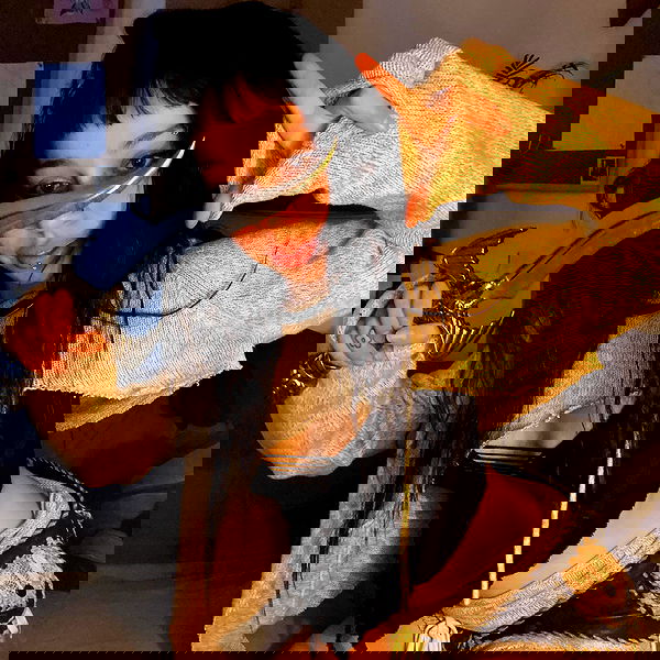 hanabellask8 hanabellask8 archive image