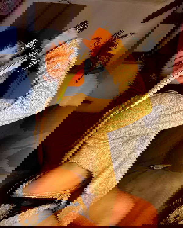 hanabellask8 hanabellask8 archive image