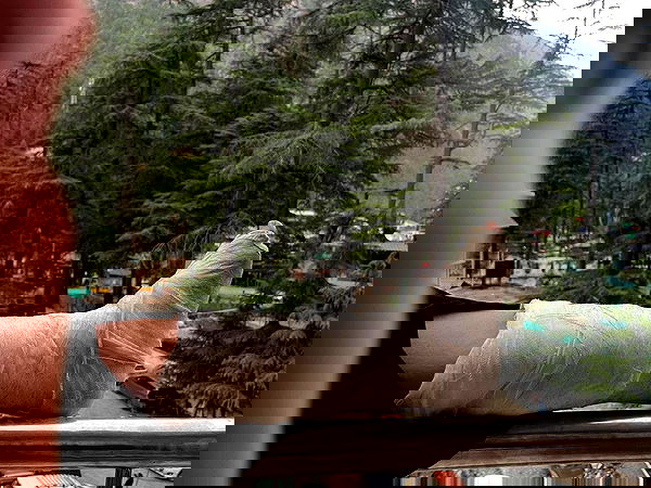 hanabellask8 hanabellask8 archive image