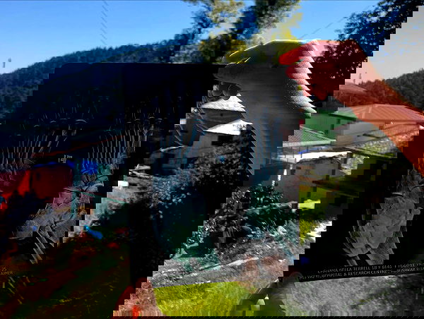 hanabellask8 hanabellask8 archive image