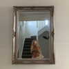 harrietross_ Altpins Profile Picture