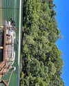 harrietross_ Altpins Profile Picture