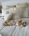 harrietross_ Altpins Profile Picture