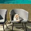 harrietross_ Altpins Profile Picture