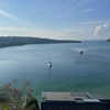 harrietross_ Altpins Profile Picture