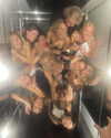 harrietross_ Altpins Profile Picture