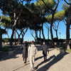 harrietross_ Altpins Profile Picture
