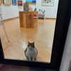 harrietross_ Altpins Profile Picture
