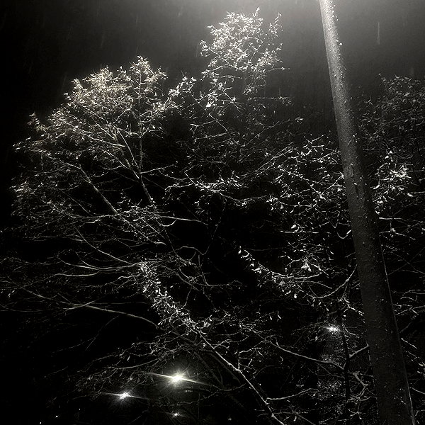 harumichx instagram image archive image