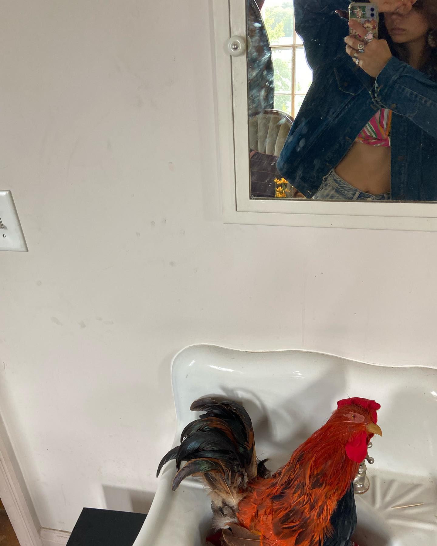 haylujan instagram image archive image