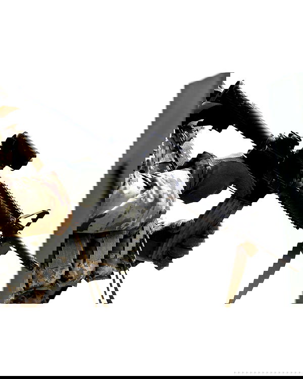 haylujan image ~ Altpins