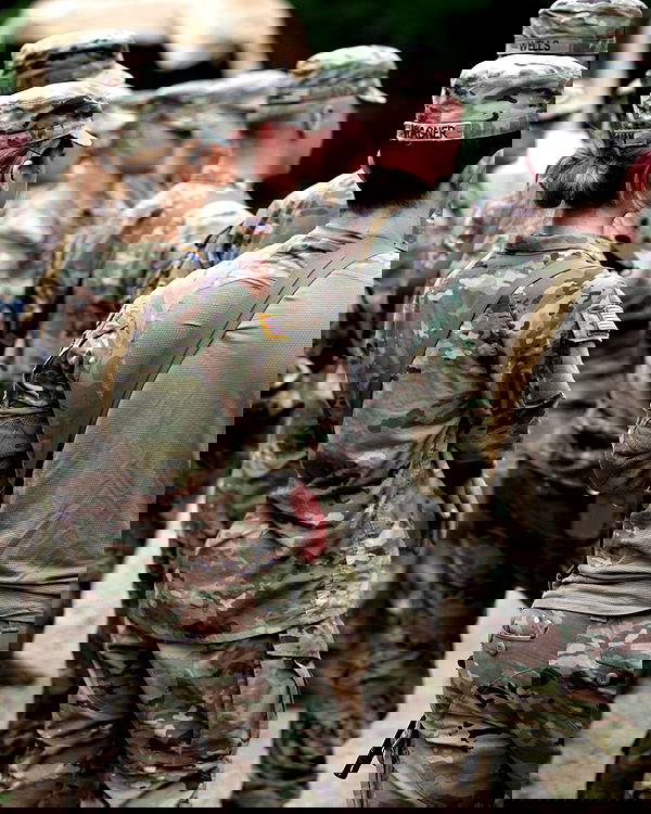 haylujan image ~ Altpins