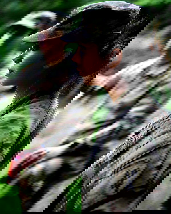 haylujan image ~ Altpins