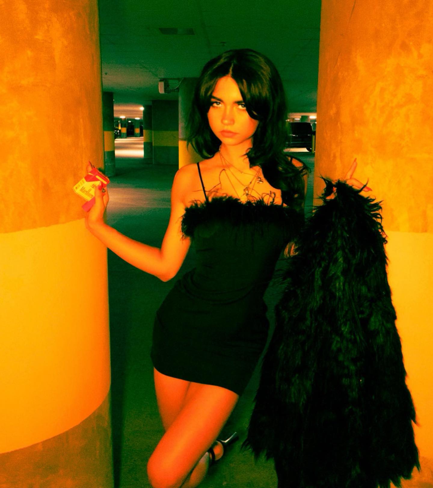 haylujan instagram image archive image