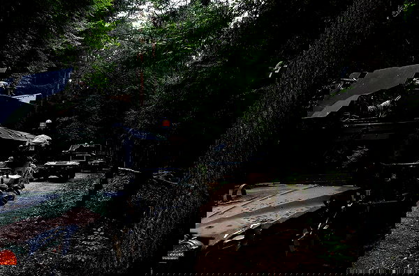 haylujan image ~ Altpins