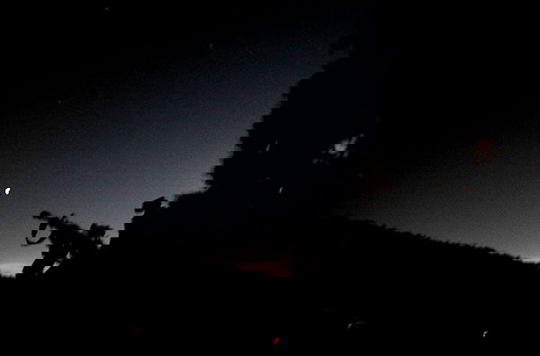 haylujan image ~ Altpins